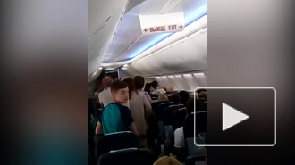 На рейсе Ларнака-Петербург полиция задержала пьяную жительницу Кронштадта