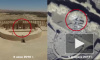 Минобороны опубликовало видео разрушения боевиками памятников Пальмиры