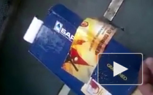 В Новосибирске пришлось эвакуировать электричку из-за 4-зарядной "котобомбы"