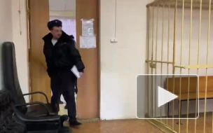 В Петербурге арестовали девушку, бросившую коктейль Молотова в избирательный участок