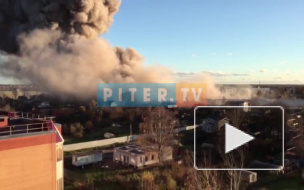 Видео: на пиротехническом заводе "Авангард" в Гатчине произошел взрыв 