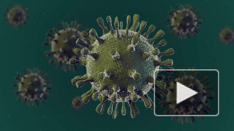 Под Воронежем госпитализировали пять человек с подозрением на COVID-19