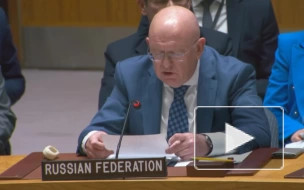 Небензя: США не хотят, чтобы решения СБ ООН повлияли на возможную силовую акцию Израиля