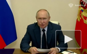 Путин: Россия занимает первое место в мире по производству высокосортного никеля