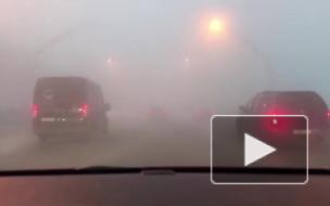 Плотный туман утром 10 февраля замедлил движение на ЗСД