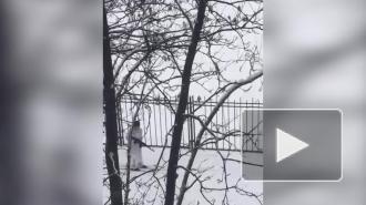 В Невском районе заметили лыжников с автоматами