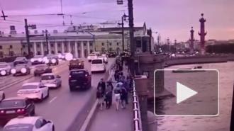 На видео попал прыжок мужчины с Дворцового моста