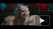 Мюзикл "Кошки" получил премию "Золотая малина" как худший фильм