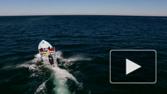 ФСБ: "Пограничники задержали 161 браконьера из КНДР в Японском море"