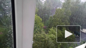 Синоптики обещают ливни и грозы в Петербурге и Ленобласти