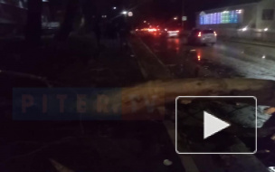 Упавшее дерево на Южном шоссе перегородило дорогу 