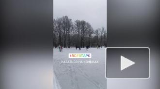 На Елагином острове открылся каток на Большой площади