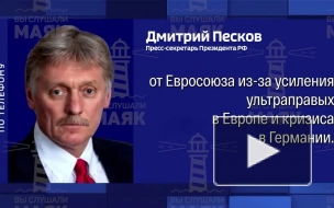 Песков назвал отправку средств ЕС на Украину сжиганием денег в бездонной бочке