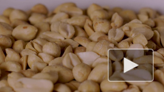 Ученые обнаружили в кишечнике спусковой механизм аллергии на арахис