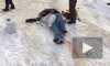Видео погони со стрельбой в Нижневартовске попало в сеть