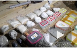 В Ленобласти изъяли 35 килограммов синтетических наркотиков