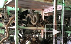 Эзотерик основал преступное сообщество в Петербурге по угону машин