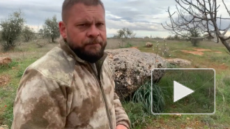 В Сирии нашли место гибели летчика Романа Филипова