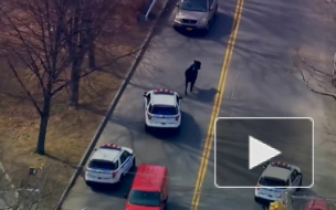 Полицейским Нью-Йорка пришлось несколько часов гоняться за быком.