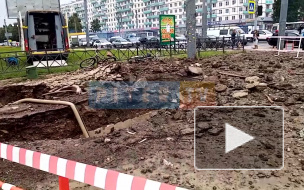 Появились подробности ЧП на улице Дыбенко