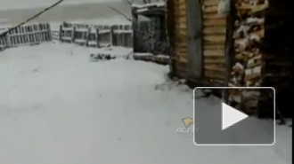 В Новосибирскую область вернулась зима со снегом