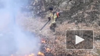 В Приморье продолжают тушить палы сухой травы 