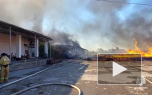 В Крыму загорелось овощехранилище