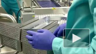 Появилось видео с производства вакцины "Спутник V" в Казахстане