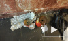 Опубликовано фото обезвреженной бомбы со станции "Площадь Восстания"