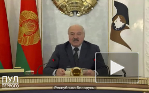 Лукашенко призвал ЕАЭС отказаться от доллара в расчетах за углеводороды