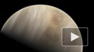 Глава NASA оценил обнаружение фосфина в атмосфере Венеры