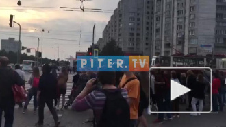 Видео: у метро "Приморская" проходит пикет в поддержку создания парка в устье реки "Смоленки"