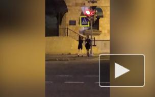 Видео: неизвестные украли дорожный знак на Васильевском острове