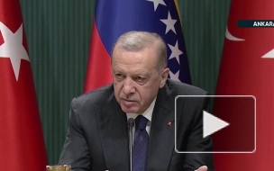 Эрдоган: Турция не верит, что развернутые в Греции военные базы США направлены против РФ