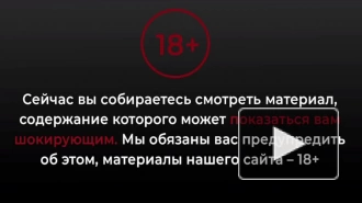 Появилось видео, как на строителя упала корзина с кирпичами в Петербурге