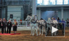 В Ленэкспо проходит выставка "Иппосфера", на которой представлены десятки пород, в том числе очаровательные мини-лошадки и пони