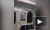 В Петербурге разыскивают молодого человека, который провез в метро удава
