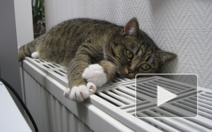 Когда начнется отопительный сезон 2016 в Петербурге