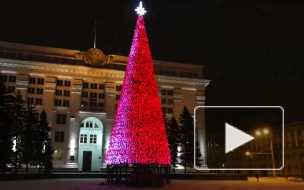 Кемеровская новогодняя ель за 18 миллионов вызвала общественный резонанс