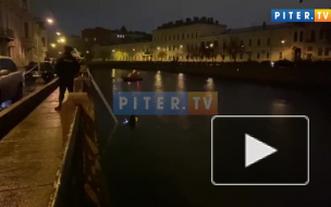 В Петербурге прекратили поиски останков убитой аспирантки СПбГУ