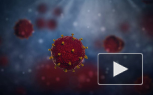 ВОЗ дала новое официальное название коронавирусу