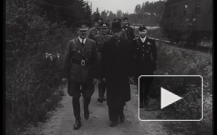 Памятную доску Карлу Маннергейму могут демонтировать в течение недели