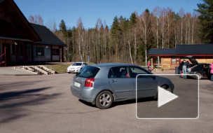 Более 75 кг сомнительной рыбы отобрали у петербуржцев на границе с Финляндией