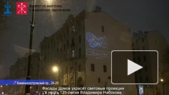 К 125-летию Владимира Набокова фасады петербургских домов украсят световые проекции 