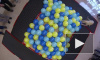 Видео: собака Тоби лопнула 100 воздушных шаров за 30 секунд 