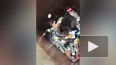 В Моздоке сотрудник МЧС вытащил енота из мусорного бака