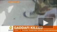Семья Каддафи подает в Гаагский суд на НАТО за убийство ...