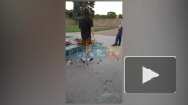 Видео: неадекват осквернил вечный огонь на Марсовом поле