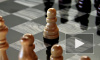 На телах украинской пары шахматистов нашли следы уколов