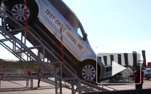 Новости часа: 24 октября, 12.00